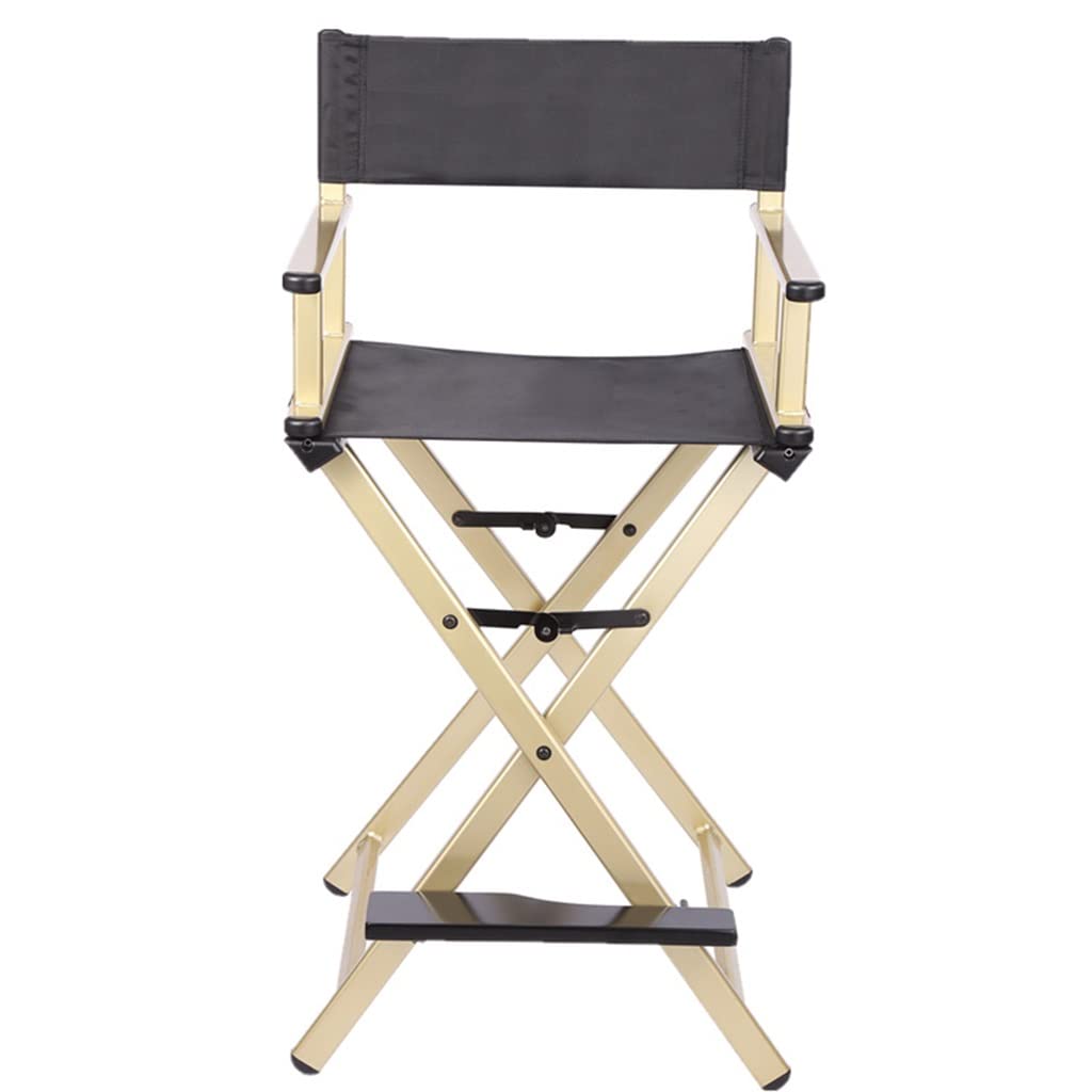 Portable Aluminum Folding Director's Chair W667762