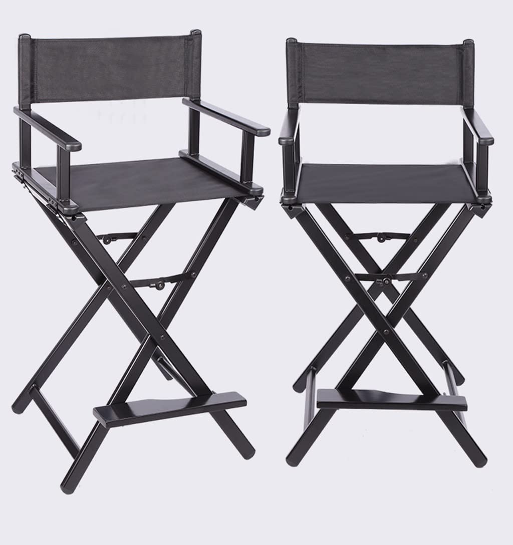 Portable Aluminum Folding Director's Chair W667762
