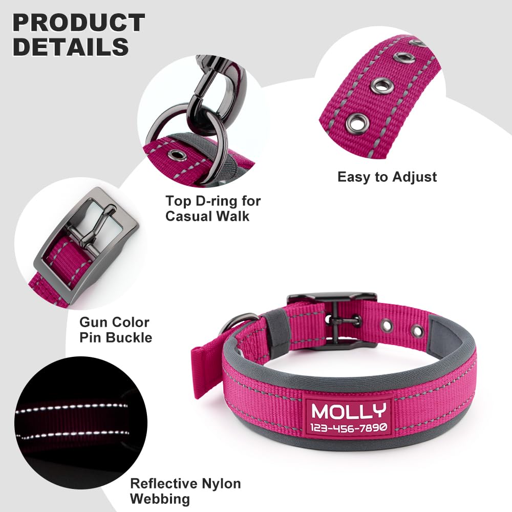 Personalized Dog Collar with Name and Number S337