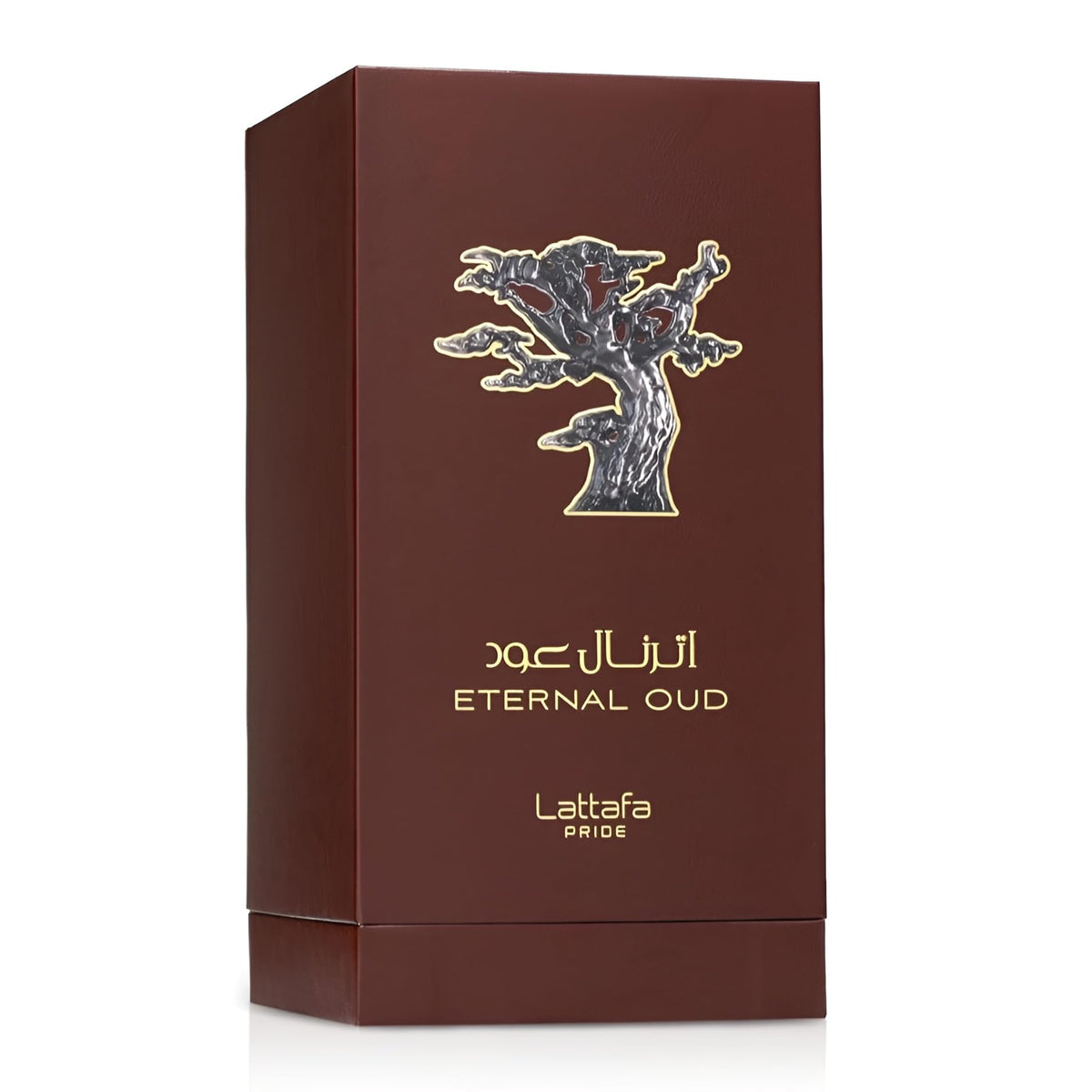 Oud Eau De Parfum Spray 3.4 Ounce U4549