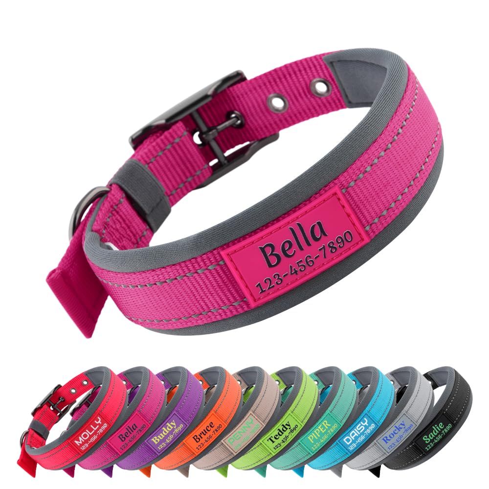 Personalized Dog Collar with Name and Number S337