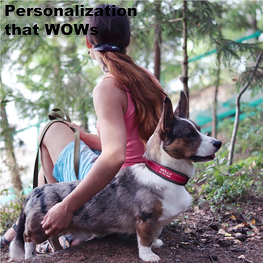 Personalized Dog Collar with Name and Number S337