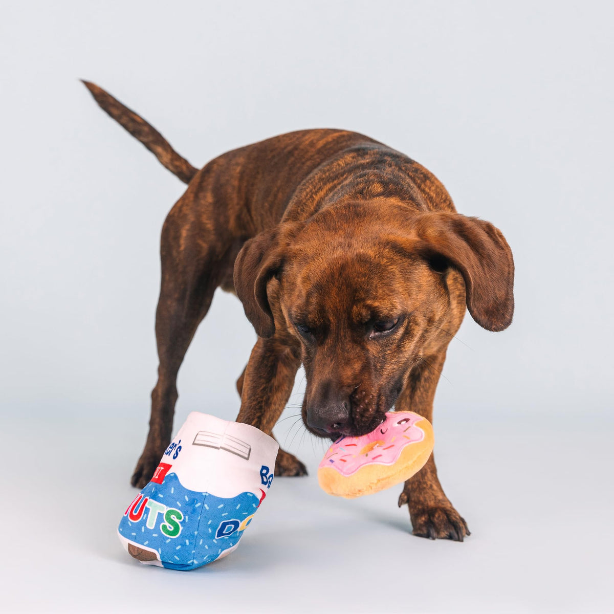 Plush Dog Toy Set Z472