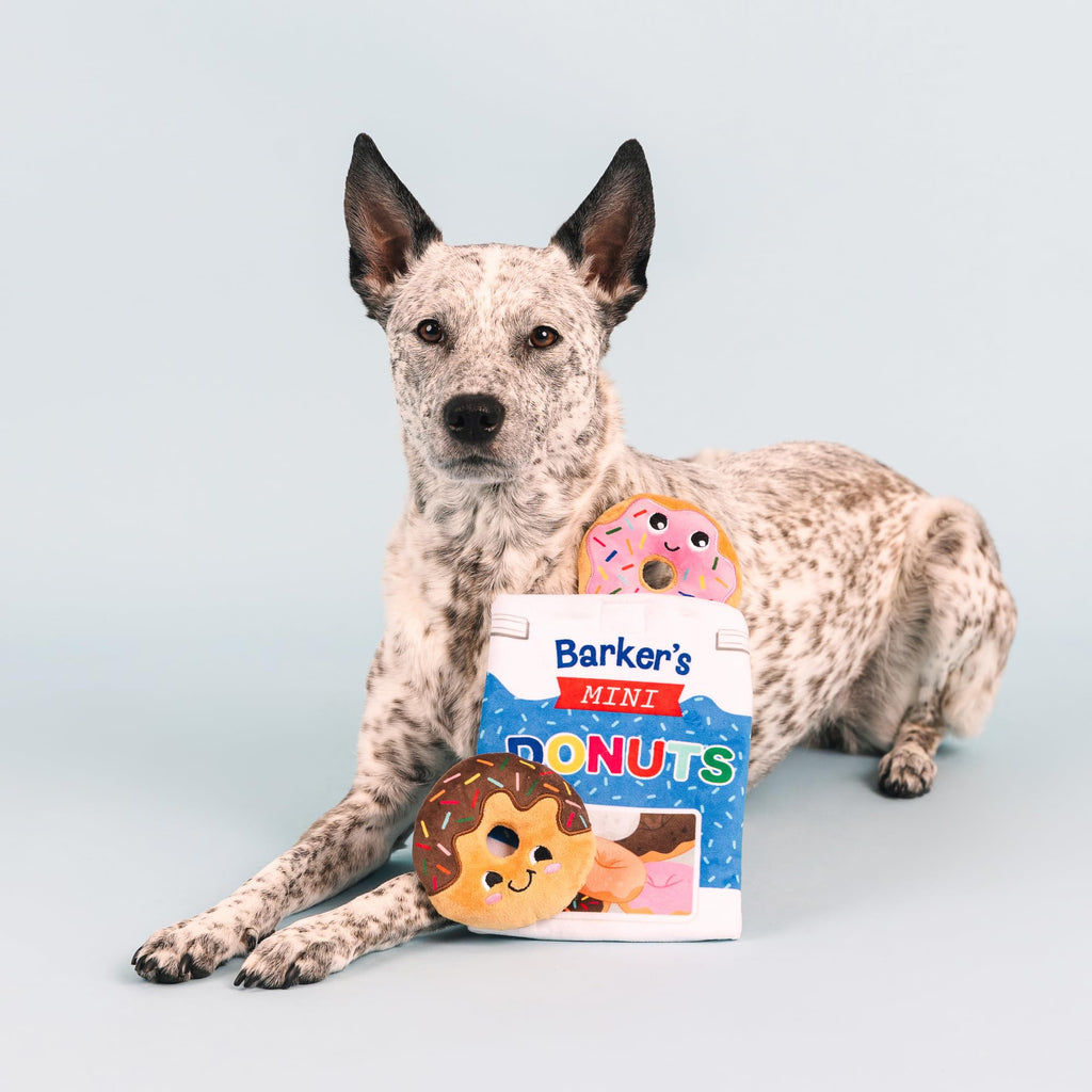 Plush Dog Toy Set Z472