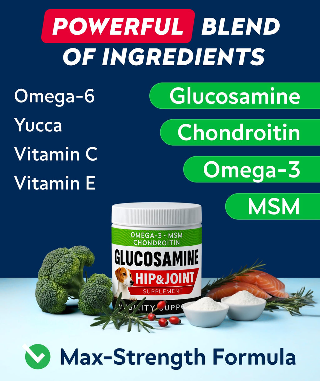 Glucosamine Chondroitin MSM Hip Joint Supplement Chews B41424