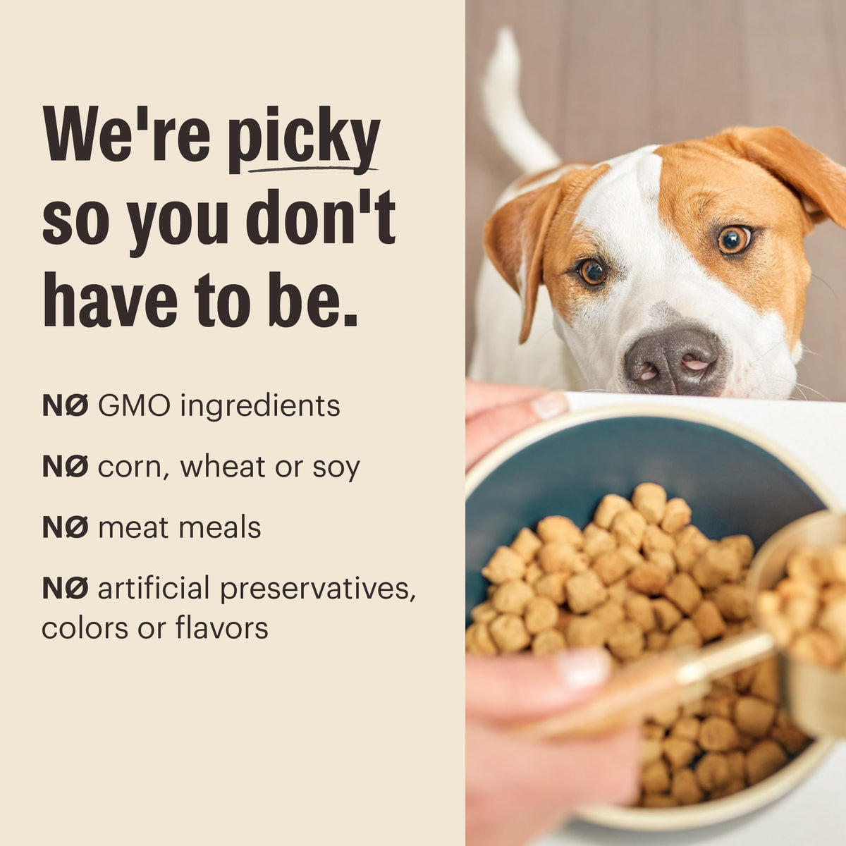 Grain Free Chicken Dry Dog Food, 4 lb Bag L55906