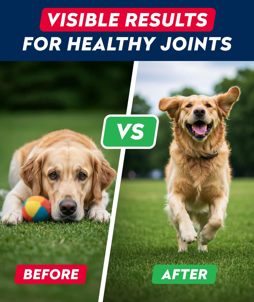 Glucosamine Chondroitin MSM Hip Joint Supplement Chews B41424
