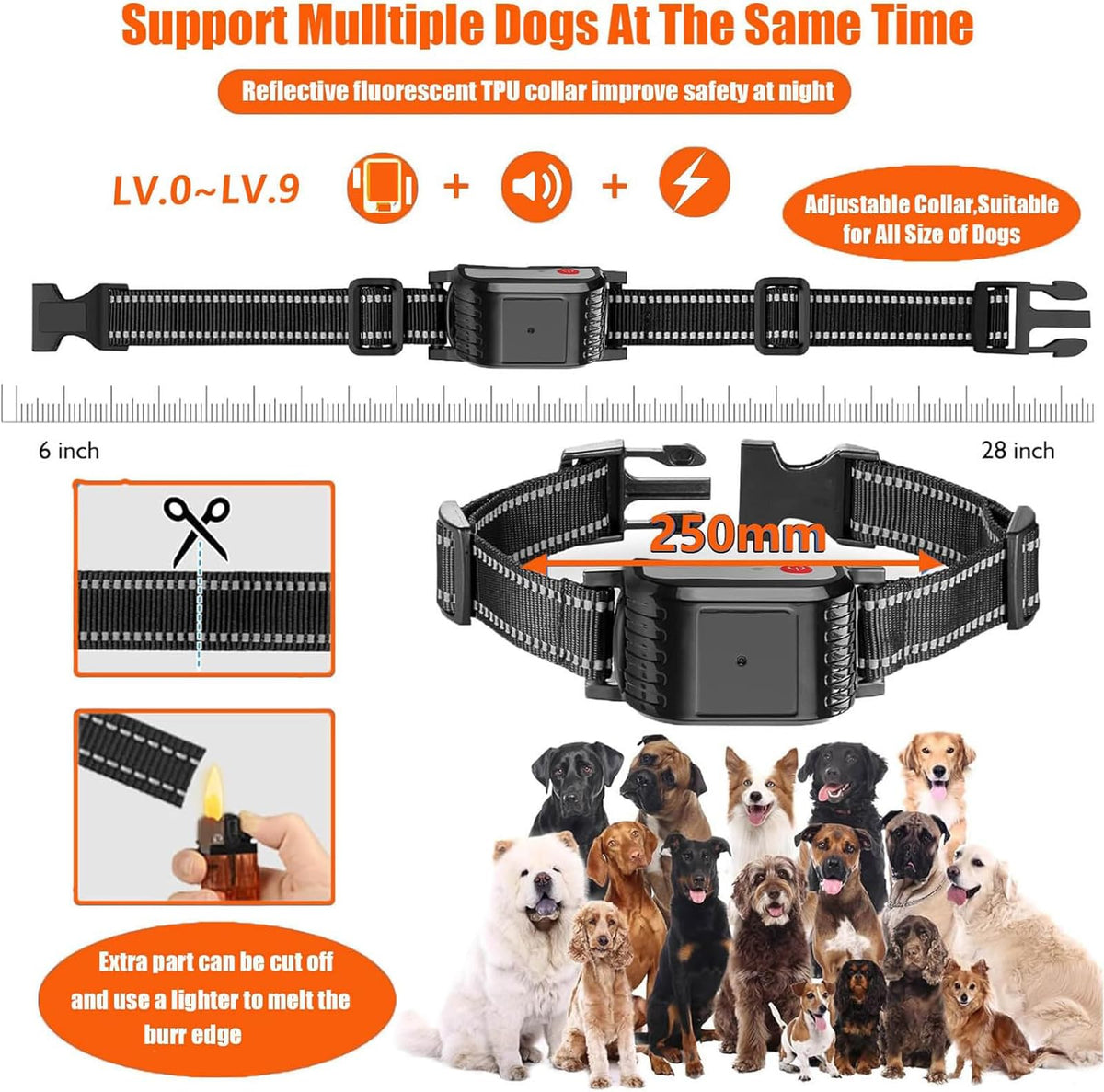 Wireless Electric Dog Fence & Training Collar 2-in-1, Waterproof Rechargeable, Up to 8 Acre F404