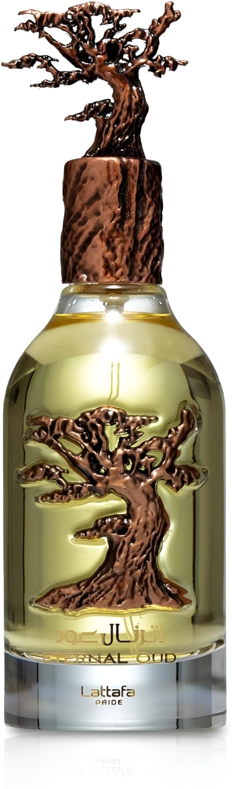 Oud Eau De Parfum Spray 3.4 Ounce U4549