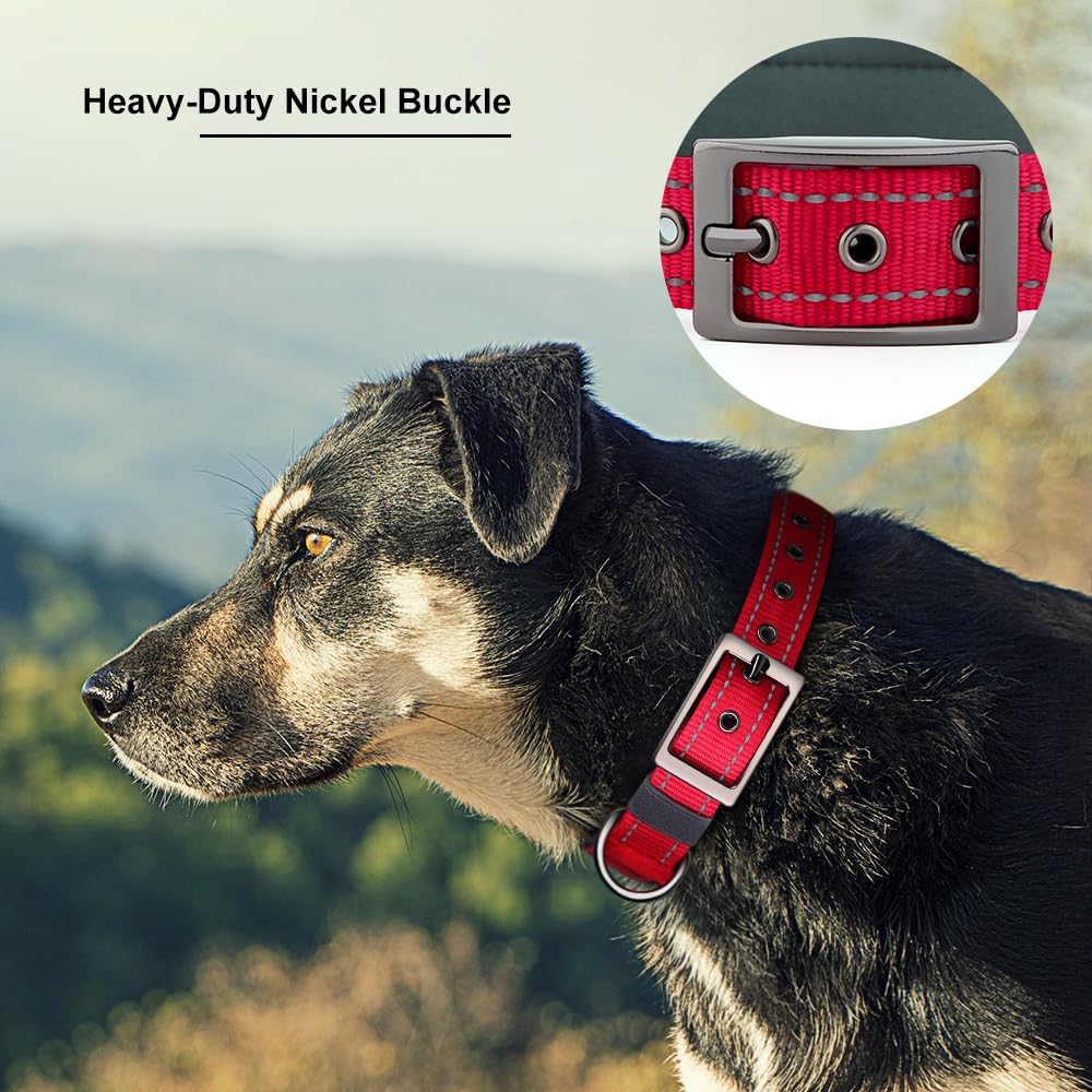 Personalized Dog Collar with Name and Number S337