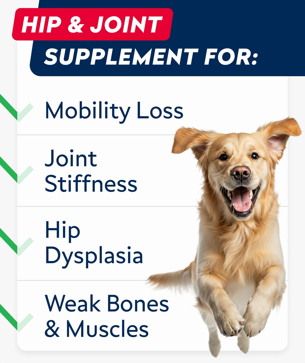 Glucosamine Chondroitin MSM Hip Joint Supplement Chews B41424
