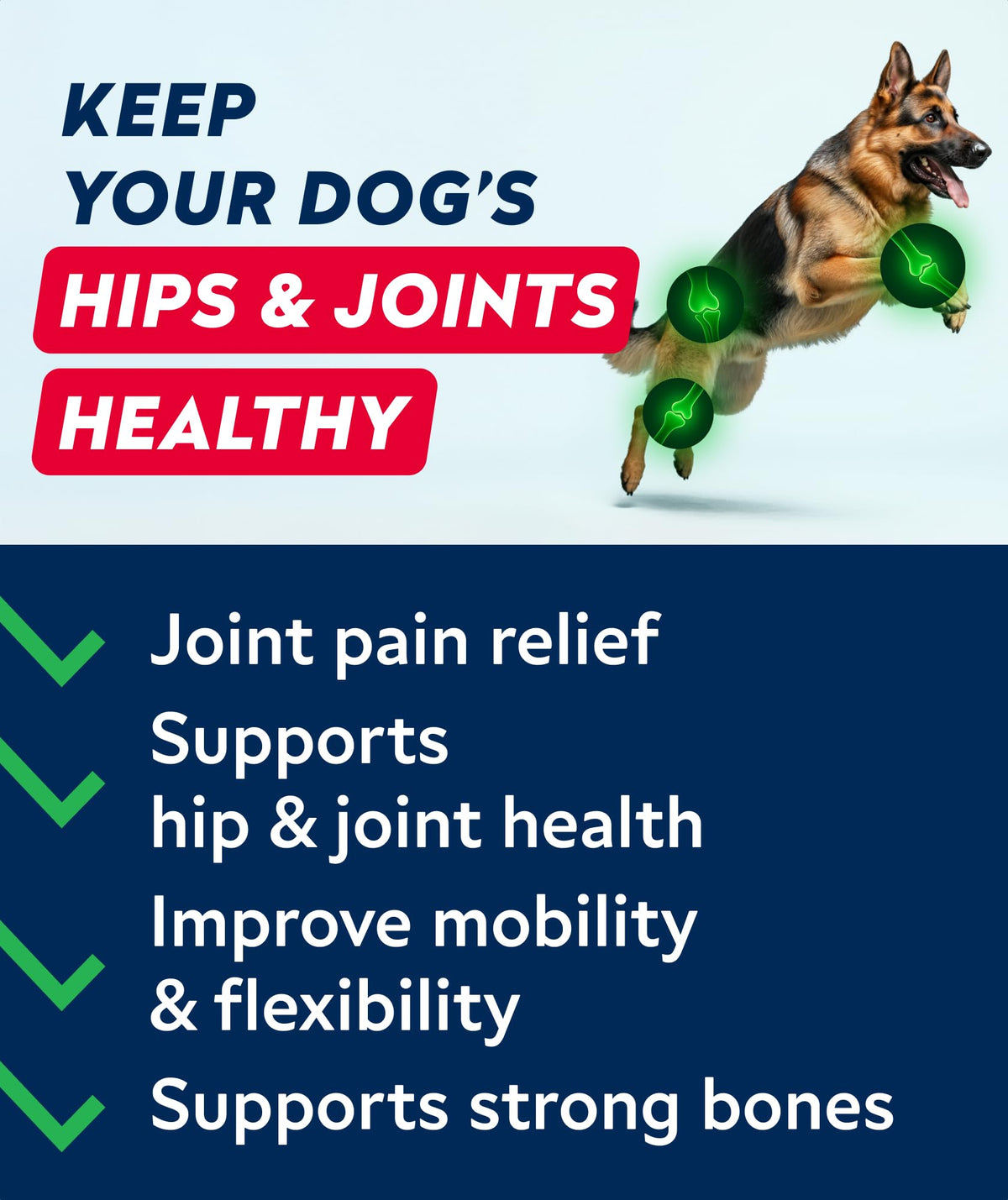 Glucosamine Chondroitin MSM Hip Joint Supplement Chews B41424