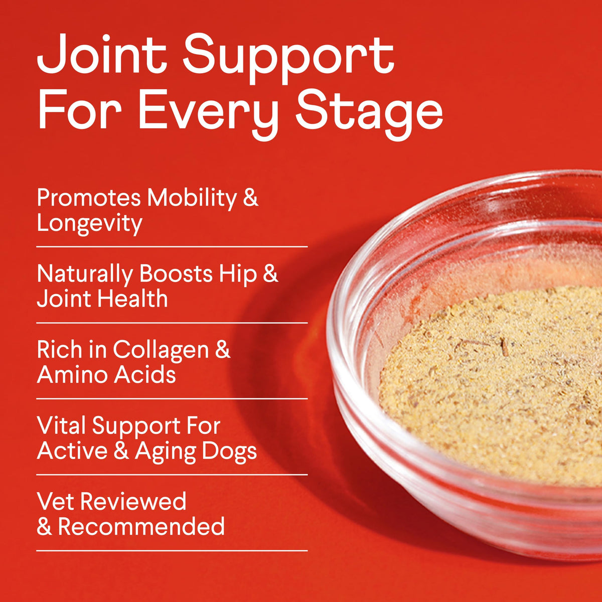 Bone Broth Plus for Dogs 8 oz R253403