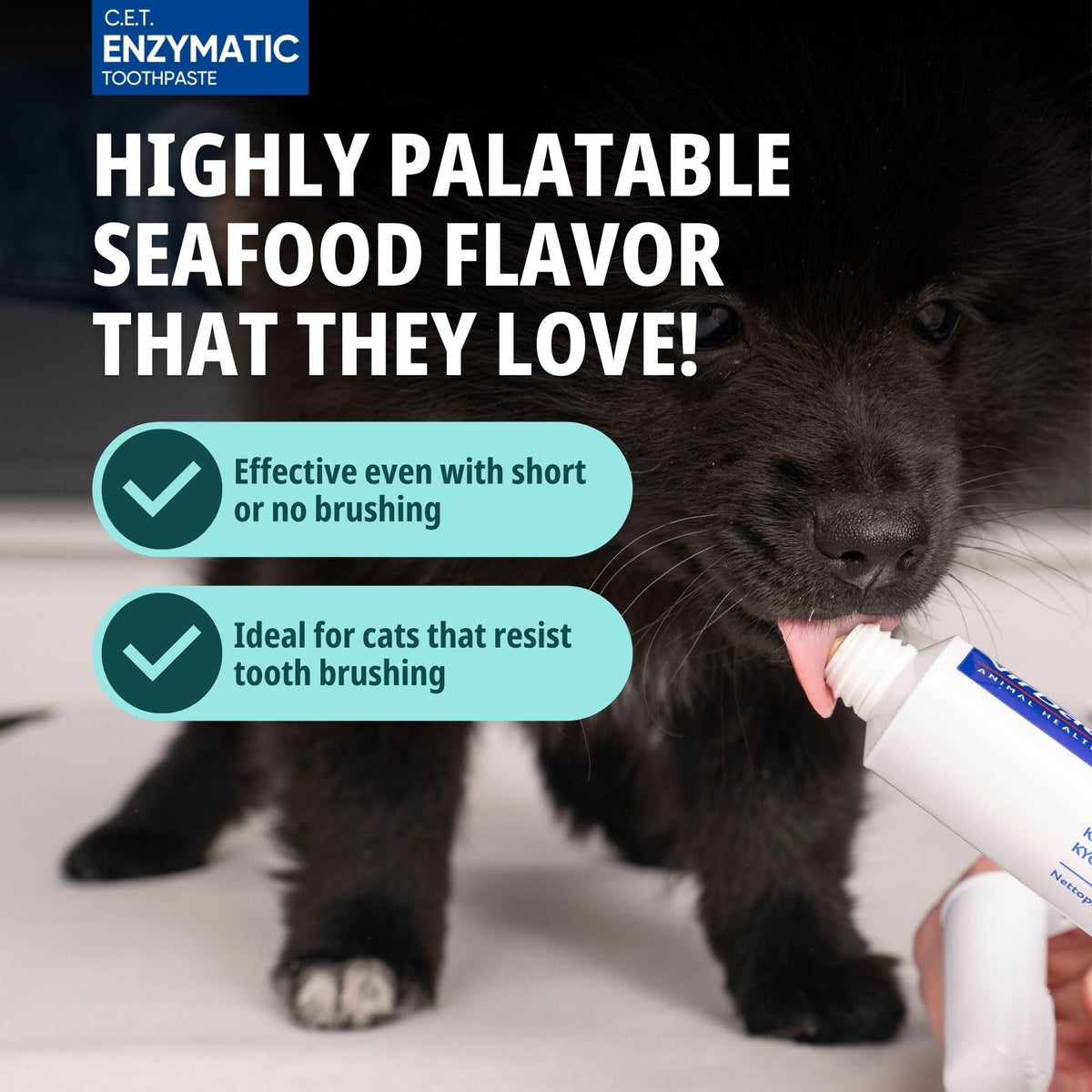 Seafood flavor Cat Toothpaste with Toothbrush Q659