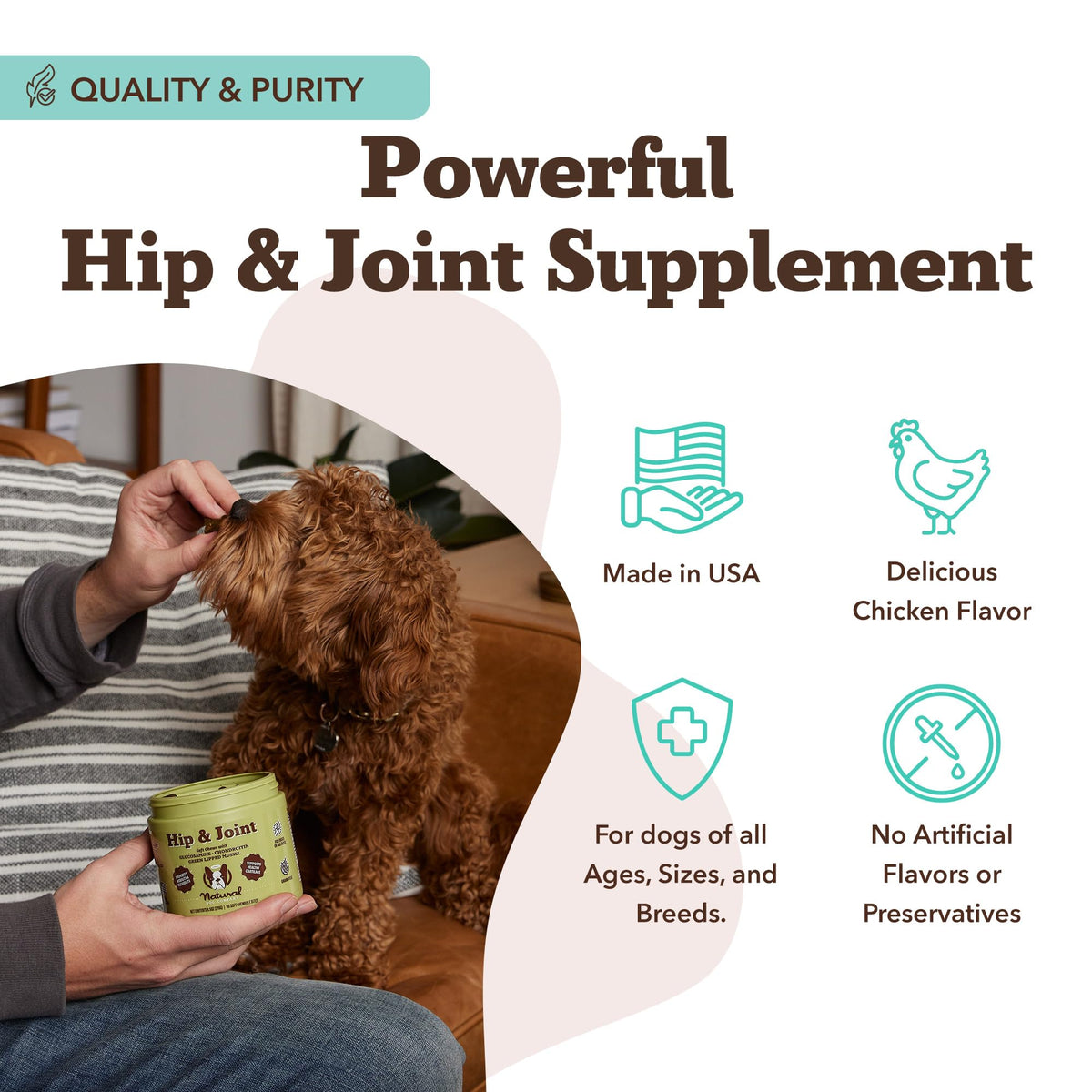 Chicken Liver Hip & Joint Chews for Dogs 90 Count K407665