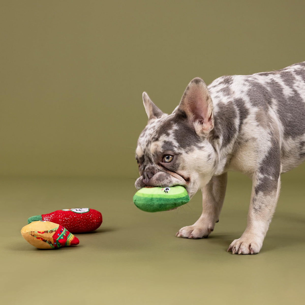 Plush Dog Toy 3 Pieces Set Y563811