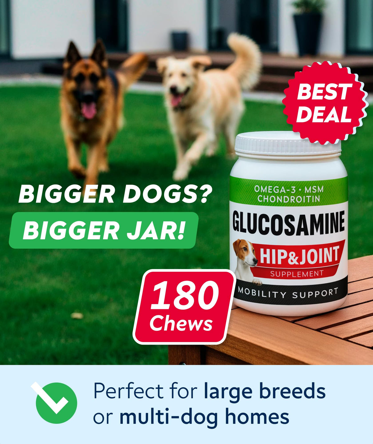 Glucosamine Chondroitin MSM Hip Joint Supplement Chews B41424