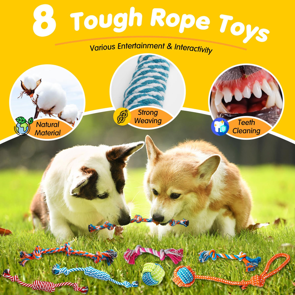25 Pack Dog Chew Toys R622753