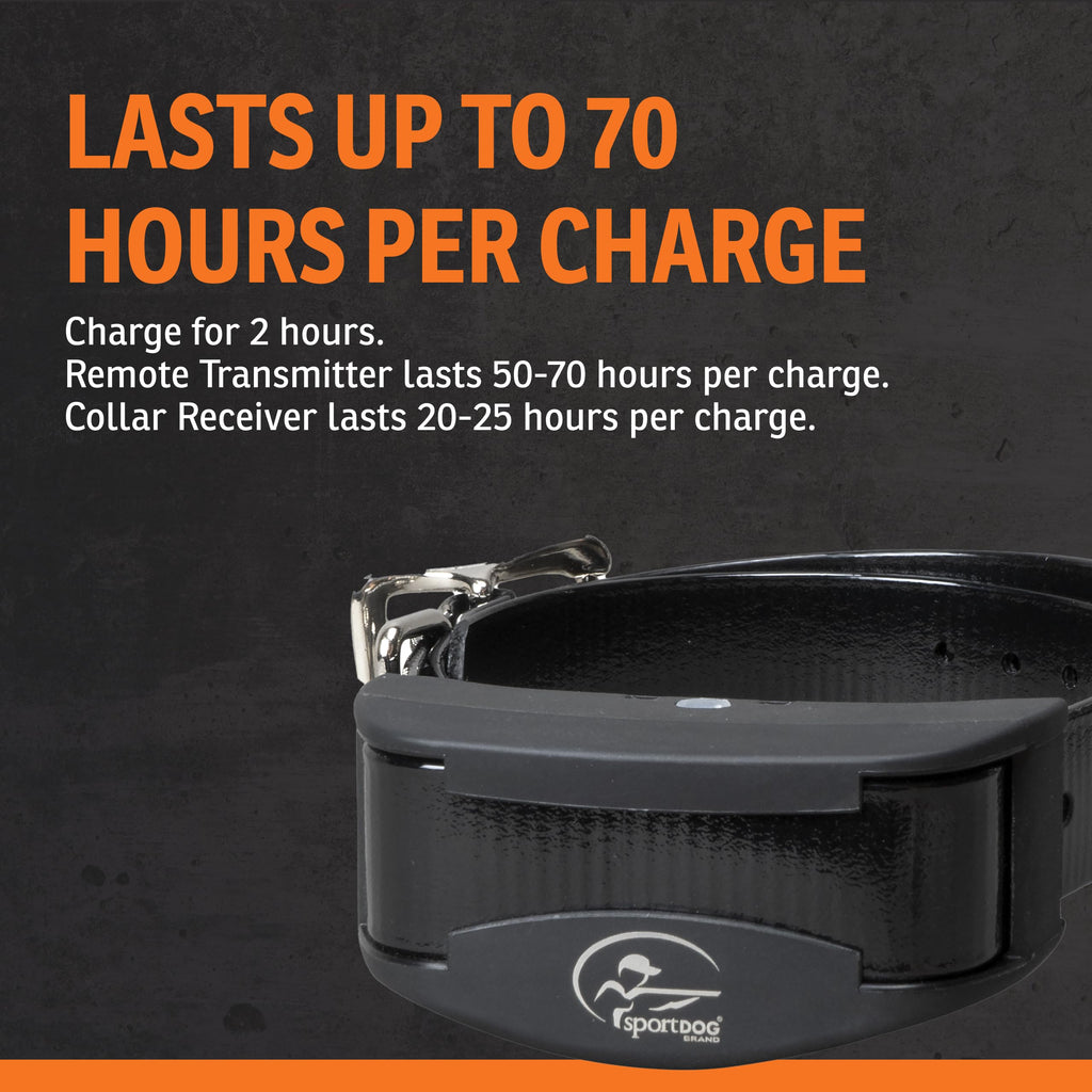 Remote Trainer 100-Yard Range R6407