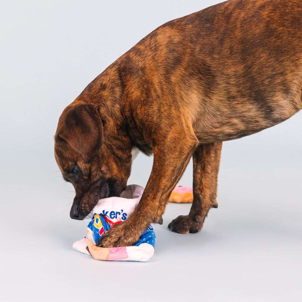 Plush Dog Toy Set Z472