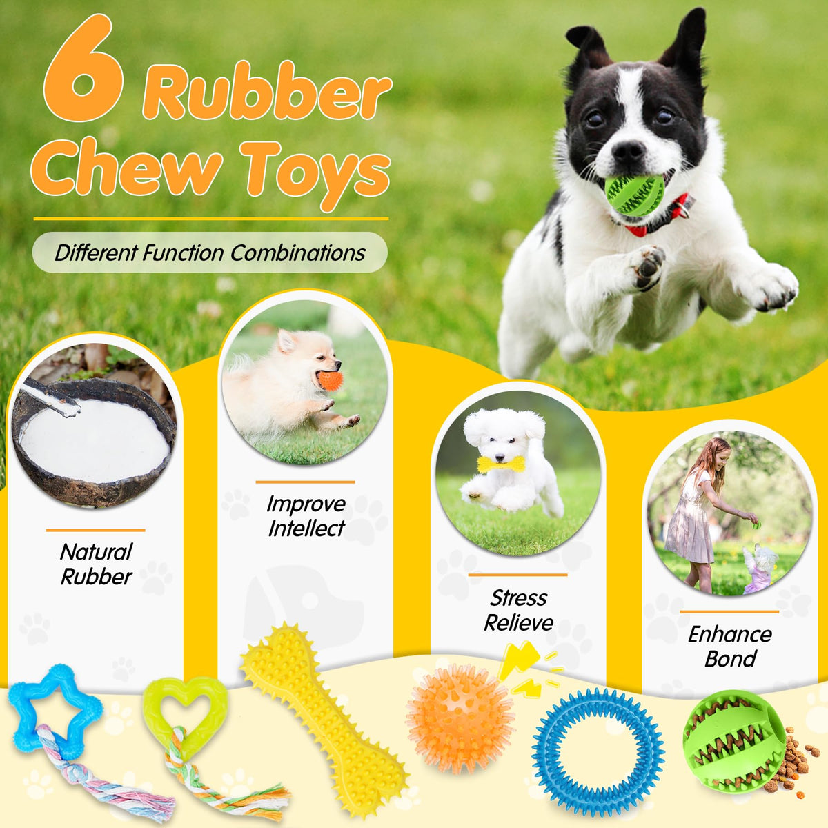 25 Pack Dog Chew Toys R622753