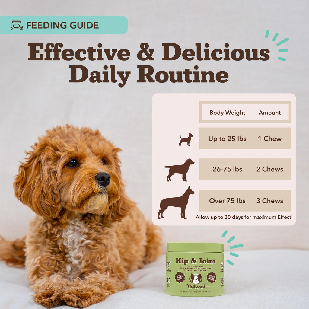 Chicken Liver Hip & Joint Chews for Dogs 90 Count K407665