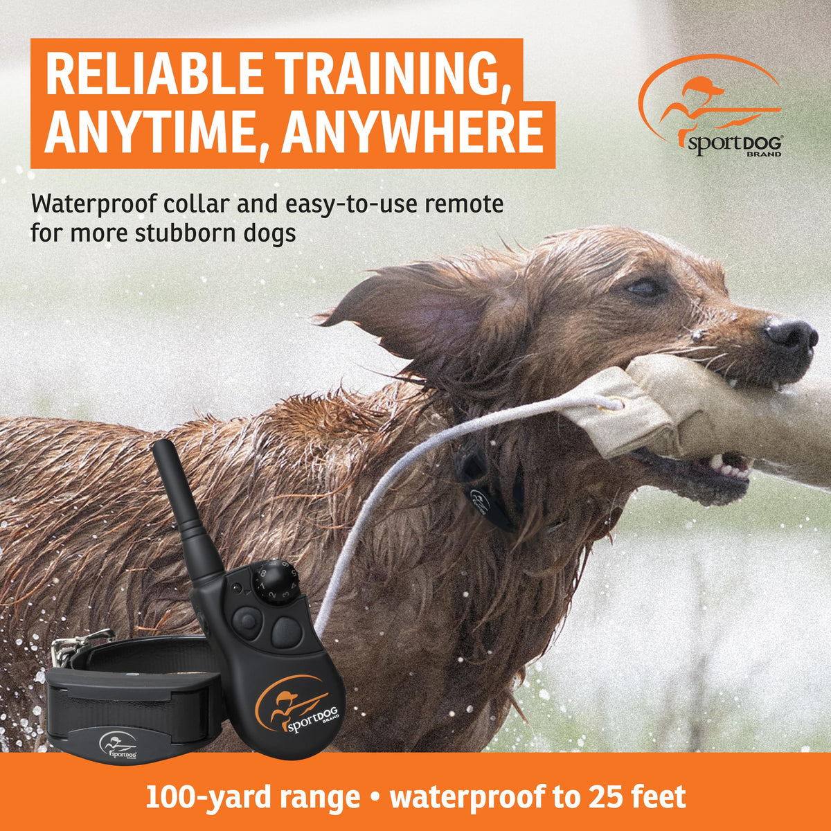 Remote Trainer 100-Yard Range R6407