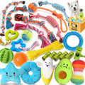 25 Pack Dog Chew Toys R622753